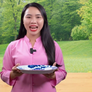 Combo 5 đĩa gốm sứ 23cm 5 đĩa gốm sứ hoa 9 inch