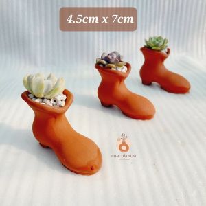 Chậu đất nung Bình Dương - Chiếc hài lọ lem miệng chậu 4.5cm chiều cao 7cm