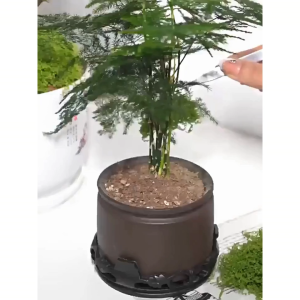 100gr Lumut Palsu Hijau Moss Dekorasi Abadi Buatan Imitasi Artificial Awetan BR298 Dried Kering Taman