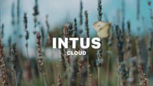 INTUS Lux Fragrance Perfume Gifts Eau de Parfum Oil Based  Long Lasting For men For women All Size