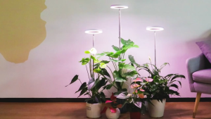 LED Grow Light Full Spectrum Plant Light For Indoor Hydroponics Plants Lamp Height Adjustable with Auto On/Off Timer