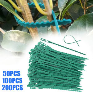 Adjustable Plastic Plant Cable Ties Reusable Cable Ties for Garden Tree Climbing Support Plant Vine Tomato Stem Clip