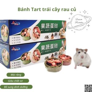 Bánh Tart trái cây rau củ cho Hamster thỏ bọ nhím