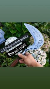 Arit rumput  gagang kayu sonokeling original siap pake dan bisa cod