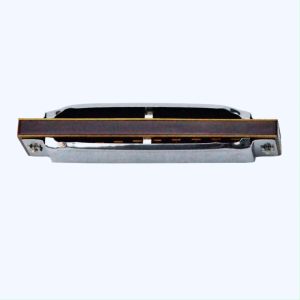Suzuki Blues Harmonica Beginner Standard 10 Hole Diatonic Harmonica Keys 1072-C Folkmaster