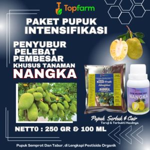 Pupuk Buah Nangka: Panduan Lengkap