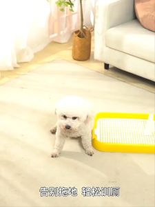 Dog toilet with stand Dog training potty pad pet toilet potty spray training pet potty