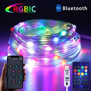 Đèn LED Thông Minh RGBIC Dạng Dây Trang Trí 5V USB Điều Khiển Bằng Ứng Dụng Đồng Bộ Nhạc Bluetooth Dùng Cho Giáng Sinh Trang Trí Nhà Cửa