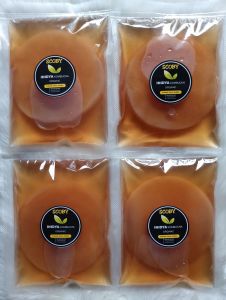 PAKET 4PCS JAMUR SCOBY KOMBUCHA Diameter 9cm-12CM