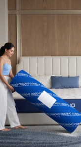 COSOVA 8 Inch Memory Foam Mattress Independent Spring Mattress /Single/Double/Queen/King