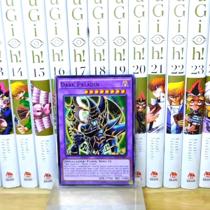 [YCDcardgame] Thẻ bài Yugioh chính hãng Dark Paladin – Common
