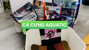 Cám chìm HIKARI MIX 5in1 MASTER - Thức ăn toàn diện cá dĩa cầu vồng thần tiên thủy sinh (CAO CẤP)