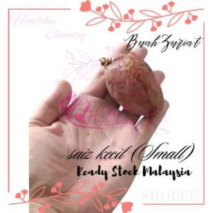 DOUM (BUAH ZURIAT) FROM MIDDLE EAST FOR FERTILITY TEA aka BUAH ADAM & HAWA FRUIT
