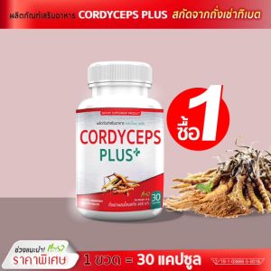 ส่งฟรี ส่งไว ผลิตภัณฑ์เสริมอาหาร คอร์ดี้เซป พลัส ถั่งเช่าแท้ทิเบตผสมโสม (1 กระปุก 30 แคปซูล) - สุขภาพจากภายใน