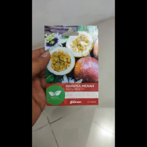 Benih Biji Bibit Markisa Merah Red Passiflora Mix Garden Seed - 1 Pcs