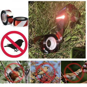 Double-Sided Reflective Bird Scare Tape: A Safe & Effective Bird Repellent Tool