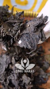 Daun Ungu Kering: Manfaat & Pilihan Ukuran