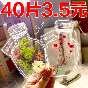 DIY Transparent Stickers Flower Plant Leaf Bookmarks Creative Handmade Elementary School Students Dry Flower Bookmarks