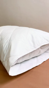 Kun Pillow Protector Quilted With Microfibre Fabric (Washable)