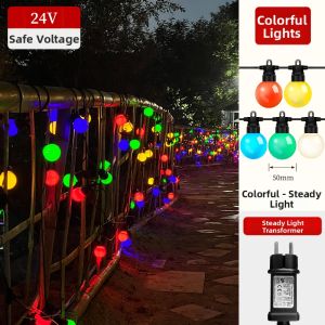 ZIYE | Outdoor Waterproof LED Decorative Lights