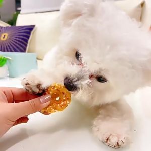 100g Pet Food Chicken Jerky Dog Food Pet Treat Dog Snacks Dental Treats