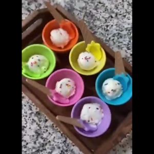 SUNNYBUNNY Stainless Steel Ice Cream Scoop Mashed Potato Scoop Kids Ice-cream bowl 雪糕杯 雪糕碗