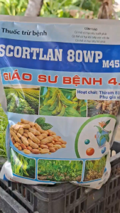 [THIEN THINH SHOP] THIRAM ( GIÁO SƯ BỆNH 4.0) trừ nấm bệnh thán thư sương mai phấn trắng thúi nhũn gói 1kg