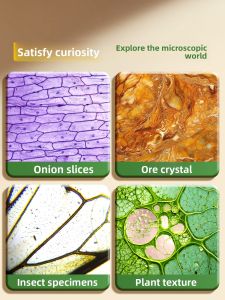 MINGZHUO | HD Educational Handheld Microscope 100X