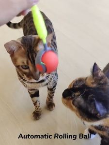 Mainan Hewan Interaktif Bola Tali Bergulir / Mainan Hewan Bola Elektrik Tali Bergulir / Mainan Anjing Kucing Bola Bergulir Tali