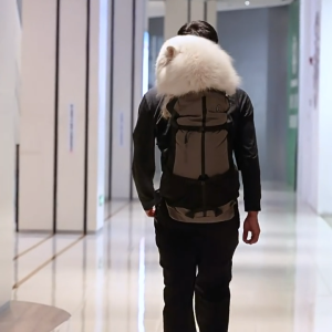 New High-Quality Dog Carrier Backpack for Small Breeds - Durable Pet Travel Accessory