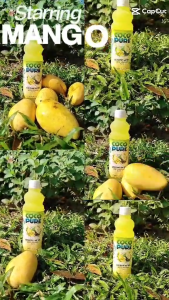 Coco Pure Coconut Water with Mango Flavor 400ml