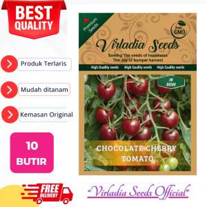 [Virladia Seeds] Biji Benih Tomat Chocolate Cherry