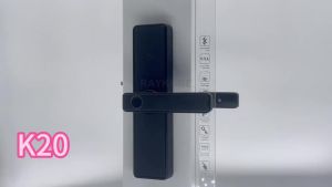 RAYKUBE K20 Khóa Cửa Vân Tay Sinh Trắc Học Khóa Điện Tử 9 Ngôn Ngữ Với Tuya APP Thẻ IC Mật Khẩu Chìa Khóa Mở Khóa Cho Thép Gỗ Đồng Thau Cửa