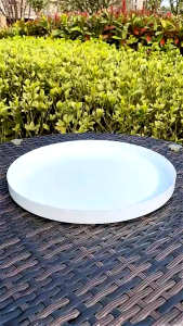 2pcs Naturally Desalinated Coconut Peat Cultivation Flowers Low Salt Succulent Plant Planting Soil