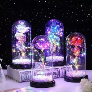 โดมแก้วมีไฟ Led นิรันดร์ สไตล์หมี ตุ๊กตาจุ๊ปจุ๊ป ดอกไม้กุหลาบฟอยล์โรแมนติก LED โคมไฟดอกกุหลาบ หลากแบบ ของขวัญวันแห่งความรัก ของขวัญทุกเทศกาล