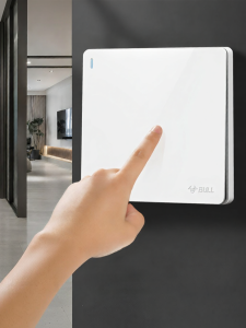 Bull | Home Control Switch Panel Dual & Single Control