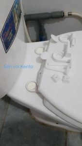 Nắp Bồn Cầu Nhựa Trắng Plastic Chấn Hùng Nắp Rơi Tự Do Thông Dụng Dành Cho Các Loại Bồn Cầu 2 Khối Két Rời