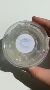 《🫧珍珠湾PearlBay》✨hlingstudio 透明史莱姆 Clear Slime