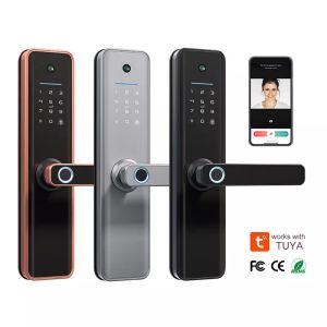 Holakay Tuya wifi​ Smart Castle fechadura waterproof eletronica biometria Digital Electronic fingerprint Tuya Smart Door lock