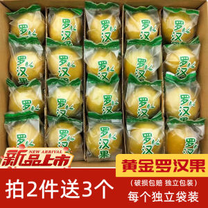 Authentic Fresh Golden Low Temperature Dried Honghongguo Snack from Guilin Guangxi 2024 New Stock Fruit Preservation