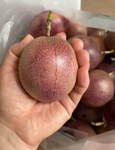 [Farm Fresh] Local Passion Fruit / Buah Markisa - Naturally Sweet Rich Aroma Thick Pulp & Juicy Premium Quality Ready Stock