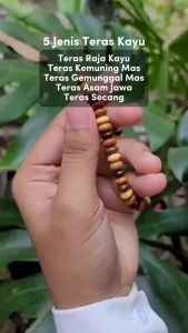 *PAGARDlRl* Gelang Teras Campur 5 Jenis Teras Kayu [MENTOS]