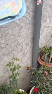 Set 2 tranh tô màu công chúa kèm giá vẽ gỗ xinh xắn LIM DIY