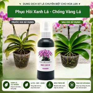 Bộ Chăm Sóc Hoa Lan: Phân Vi Sinh Vật Hoa Lan + Phân Tan Chậm + Dung Dịch Tăng Trưởng + Kích Mầm Lan + Xịt Phòng Bệnh