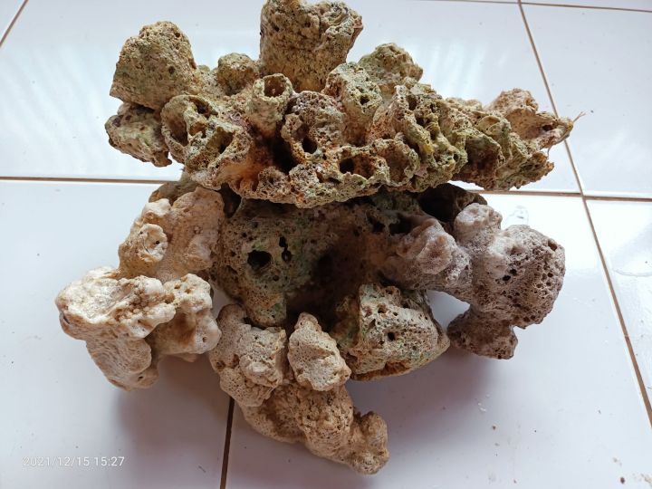 batu karang laut / 1 kg