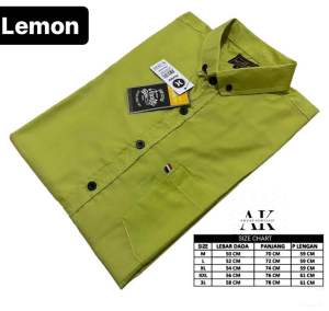 kemeja polos pria warna abu tua lengan pendek jumbo big size M-XXXL FORMAL NON FORMAL Terbaru 2025