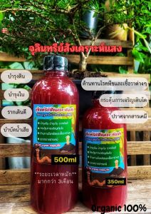 หัวเชื้อจุลินทรีย์สังเคราะห์แสง (สูตรเข้มข้น) PSB 500ml (ใช้บำรุงพืชผักต้นไม้ แข็งแรงโตไว ปรับสภาพดิน บำบัดน้ำเสีย)