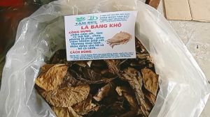 100g lá bàng khô rụng tự nhiên