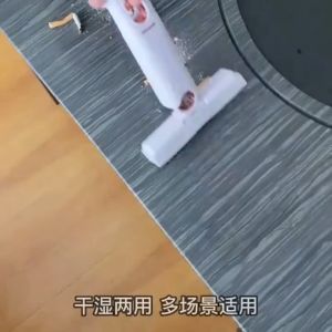 Portable Mini Mops: Easy to Store & Powerful Absorbent Solutions