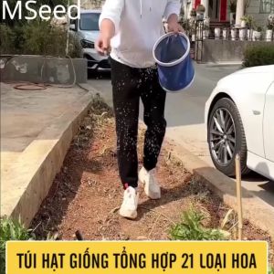 Hạt Giống Hoa Tổng Hợp 21 Loại hoa siêu đẹp dễ trồng tỉ lệ nảy mầm 98% hoa nở 4 mùa (Gói 10gr)